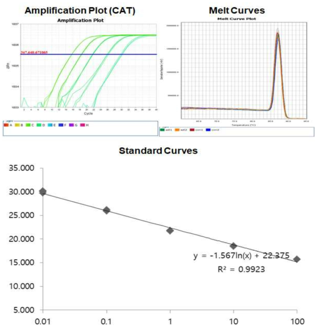 Amplification plot, melt curve and standard curve of catalase gene from Epinephelus akaara