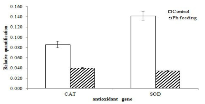 Transcription level of antioxidant genes such as CAT and SOD with developed feed additives feeding from hemocytes of Epinephelus akaara