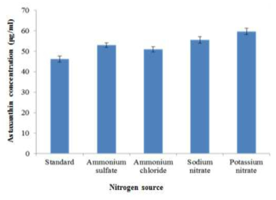 질소원 변화에 따른 P. haeundaensis의 astaxanthin 생산량 비교