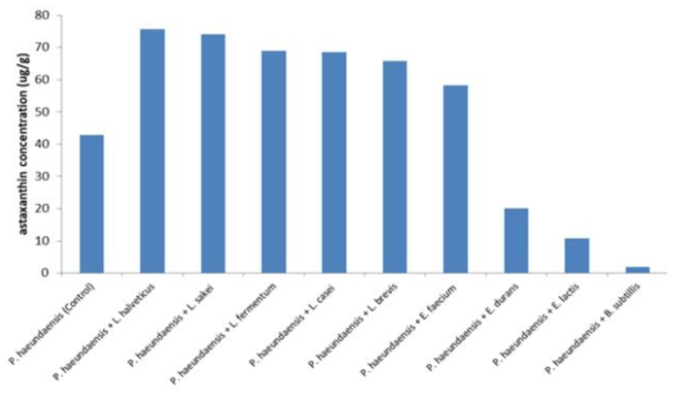 유산균 혼합 배양에 의한 astaxanthin 생산량 비교