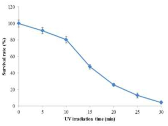 UV 조사에 의한 Paracoccus haeundaensis의 생존율