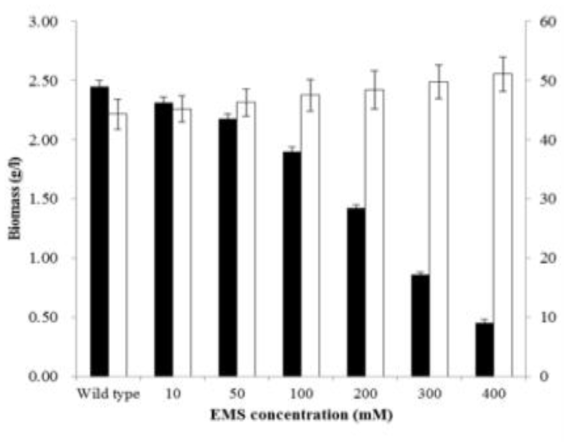 EMS 처리 시간대별 선정된 colony의 72 hr 시간 배양 후 biomass와 astaxanthin 함량. Biomass (■), astaxanthin (□)