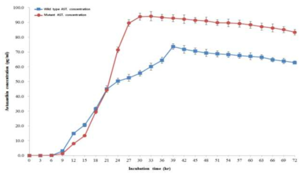 세포 성장에 따른 wild type 및 PUE mutant의 astaxanthin 생산량 비교