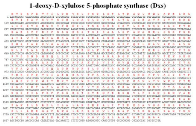 Dxs 유전자의 염기서열 및 아미노산 서열