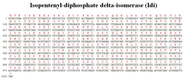 Idi 유전자의 염기서열 및 아미노산 서열