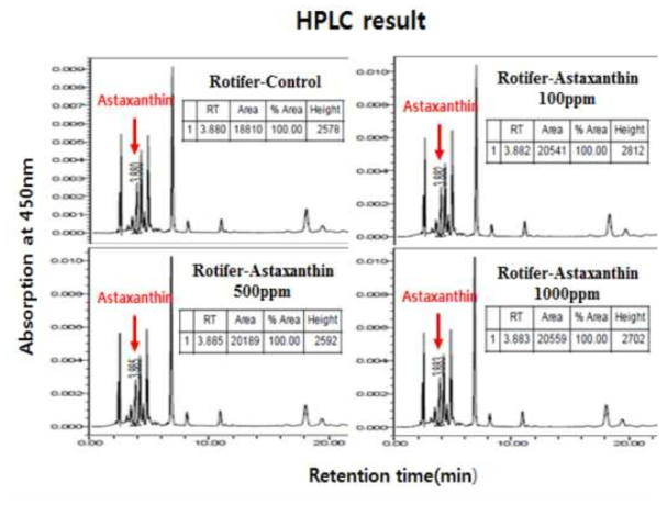 영양강화 한 rotifer에서 추출한 astaxanthin의 HPLC 분석 결과