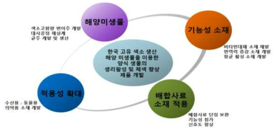 연구 방향 및 목표