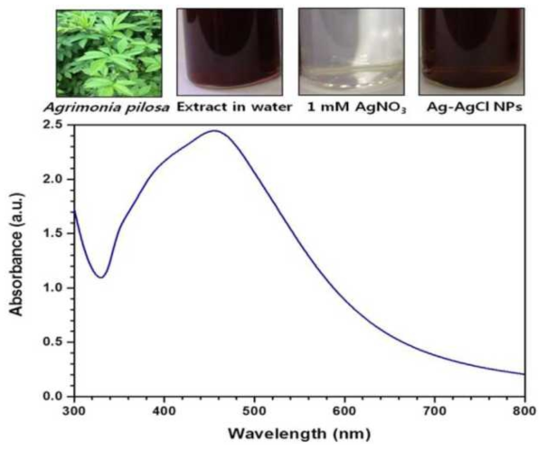 UV-visible spectrum of Ag-AgCl NPs synthesized in presence of Agrimonia pilosa plant extract as a reducing and capping agent at 40 °C for 10 min incubation