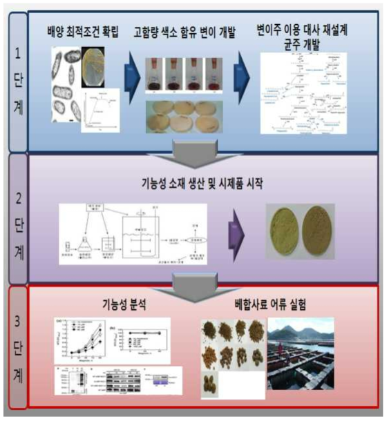 연구개발 내용 개요