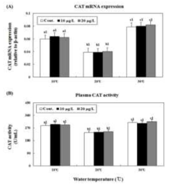 Changes of CAT mRNA expression (A) and CAT activity (B) in the red seabream, Pagrus major according concentration of copper and water temperature. The lower-case letters indicates significant difference compared between concentration of treated Cu (P < 0.05). All values are means ± SE (n = 5)
