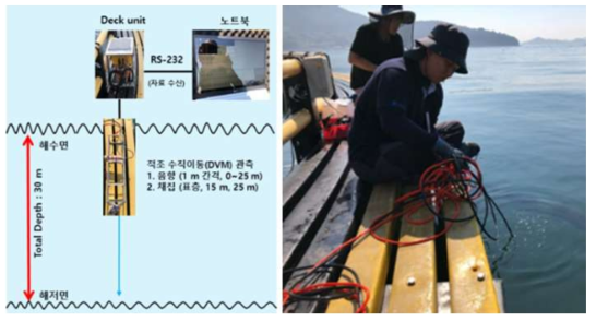 통영 해역에서 일주 수직 이동(DVM)에 따른 식물플랑크톤 음향 강도 측정
