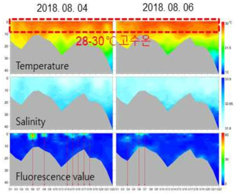 2018년 8월 4일과 6일의 여수(고흥) 해역 수온과 염분도, 형광값의 수직분포