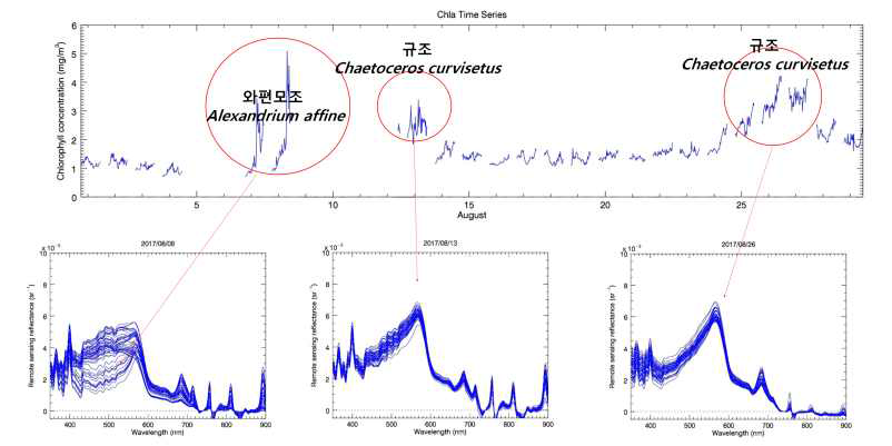 한국해양과학기술원 통영해상과학기지 고정 관측소 초분광센서 관측값으로부터 유추한 엽록소 농도 시계열 자료