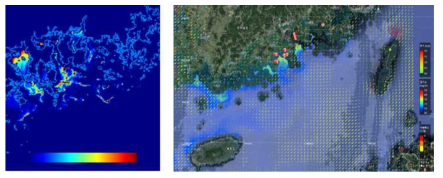 위성 정량화 알고리즘과 남해 광역 위성 클로로필 영상