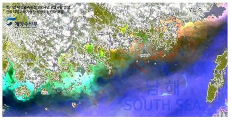 2014년 9월 4일 천리안 영상을 통해 관측된 남해안의 적조 양상 C. polykrikoides (KIOST 해양위성센터 제공)