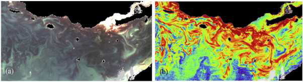 2008년 12월 24일 아라비아해에서 발생한 C. polykrikoides 번성을 MERIS 영상을 이용하여 탐지한 결과 (a) 천연색 영상, (b) 형광법을 이용하여 분석한 영상