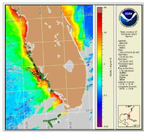 NOAA 적조 예보시스템 HAB-OFS에서 관측된 플로리다주 연안의 Karenia brevis 적조종의 분포 (NOAA, COAST팀 제공)