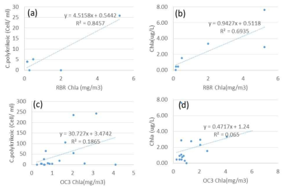 GOCI 위성 Chlorophyll 농도값(OC3, RBR)과 현장관측 자료(코클로디니움 셀 개수, 클로로필 농도)간 산포도
