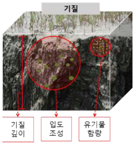 저서 바위털갯지렁이류 착저, 성장 및 생존에 미치는 주요 요소