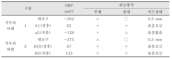 바위털갯지렁이류 사육통(1 L 원형 통)의 ORP 측정값 및 관능평가 결과