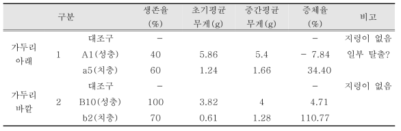 중간조사-사육통(1 L 원형 채집병)의 바위털갯지렁이류 생존과 증체율 확인