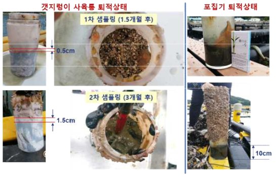 어류가두리(통영 수산자원연구소) 연계양식 바위털갯지렁이류 사육통과 포집기의 퇴적물량 비교