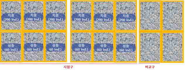 시험구의 구성