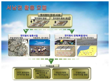 서남권 전략 추진체계: 갯벌 및 저서 생태계 연계양식 활용모델