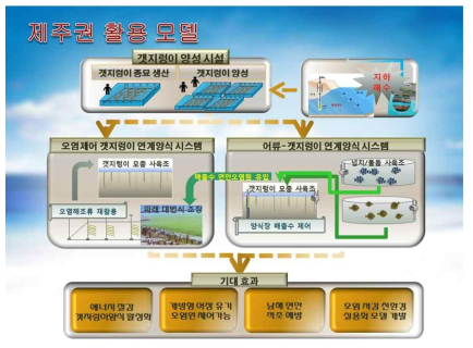 제주권 전략 추진체계: 양식장 배출수 제어 연계양식 활용모델