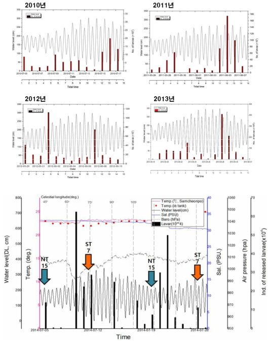 하계 유수식 모충장의 유생발생과 조석(물때) 및 환경요인과의 관계. ST: spring tide 사리, NT: neap tide 조금, NT15: 조금 15물, ST7: 사리 7물