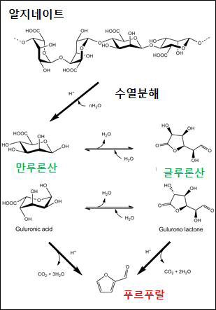 알지네이트로부터 푸르푸랄 생성의 반응 경로 제안