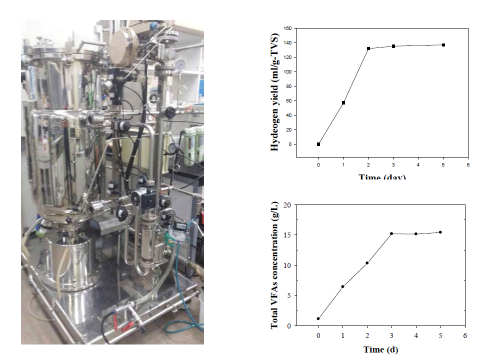 The performance of 100-L VFA fermentor; substrate 50 g/L L. japonica