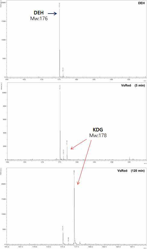 MALDI-TOF를 이용한 재조합 VsRed에 의해 생성된 DEH 반응 산물 분석