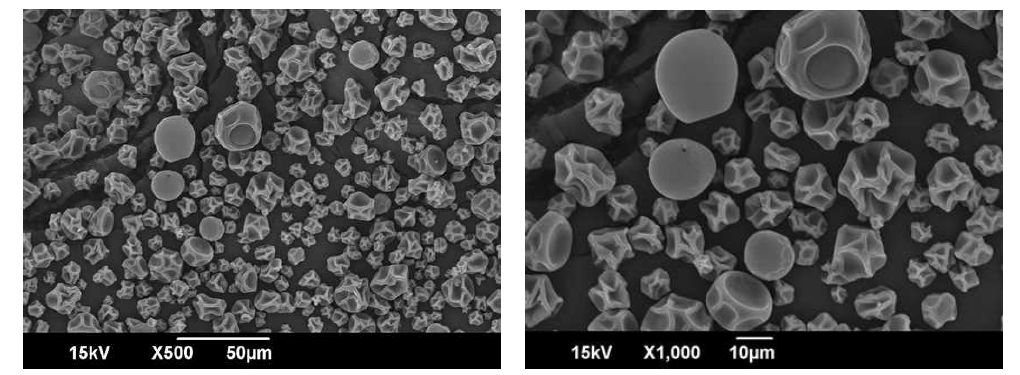 회수된 유용물질 함유 미립자의 SEM 결과