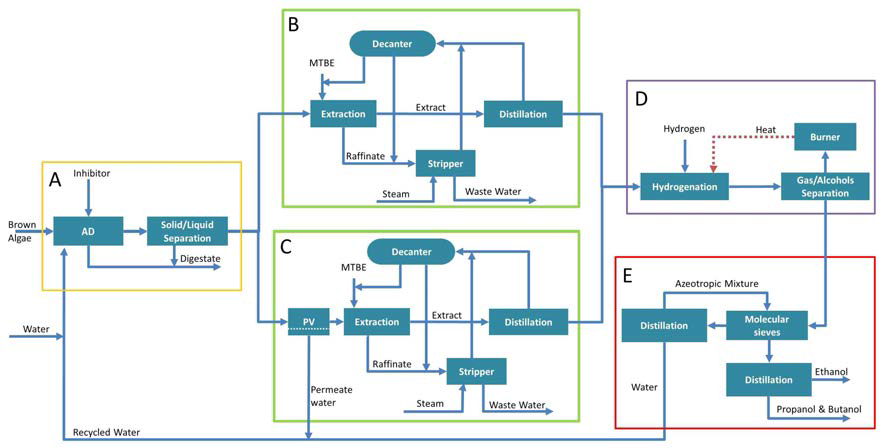 Conceptual process block diagram of mixed alcohol production from anaerobic digestion of brown algae
