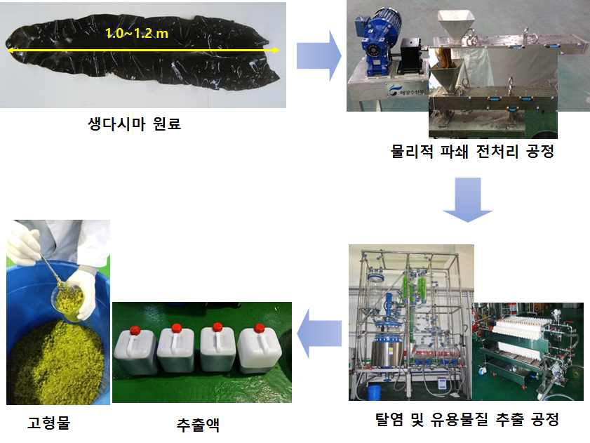 생다시마로부터 물리적 파쇄 및 탈염 전처리 과정