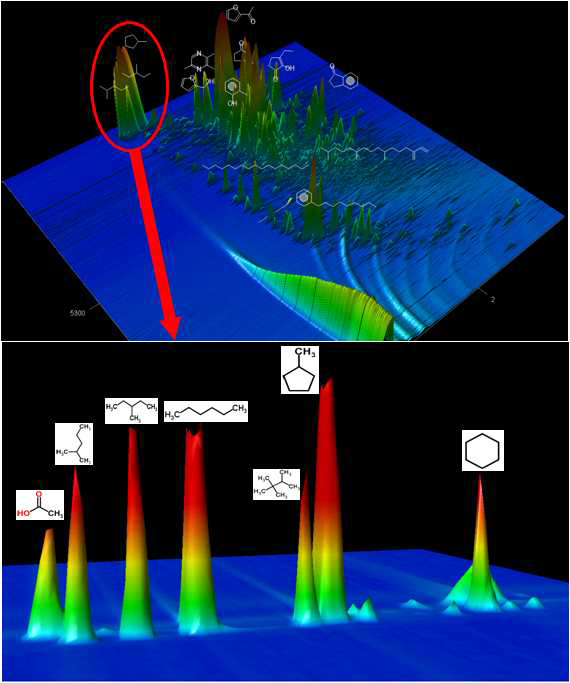 해조류 바이오오일의 2차원 GC 크로마토그램