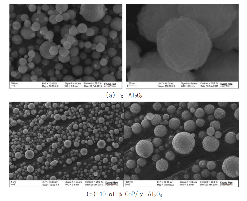 분무 열분해법(Spray pyrolysis)으로 제조된 γ-Al2O3와 CoP 촉매의 SEM 사진