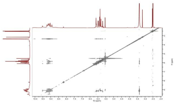 ROESY spectrum of compound 1 (800 MHz, DMSO-d6)