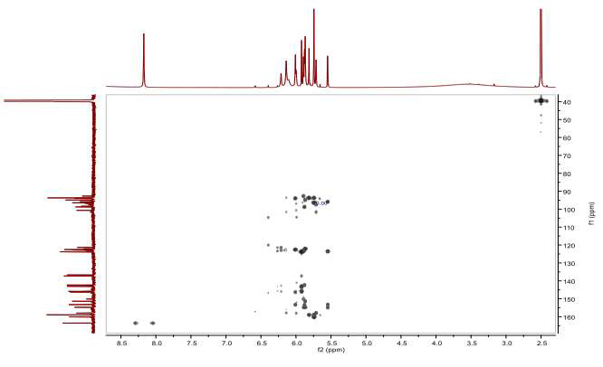 HMBC spectrum of compound 2 (850 MHz, DMSO-d6)