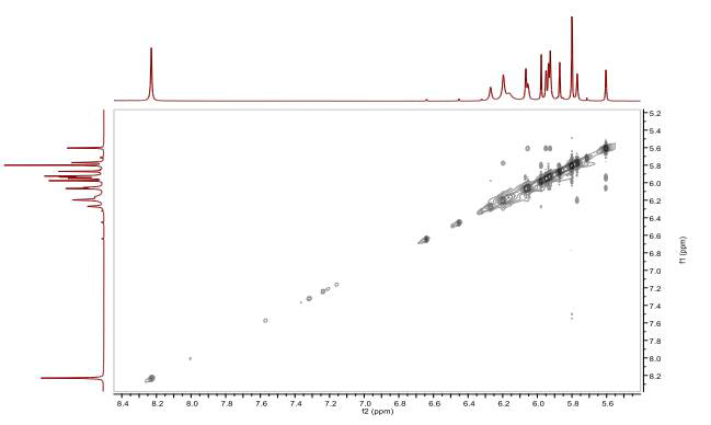 ROESY spectrum of compound 2 (850 MHz, DMSO-d6)