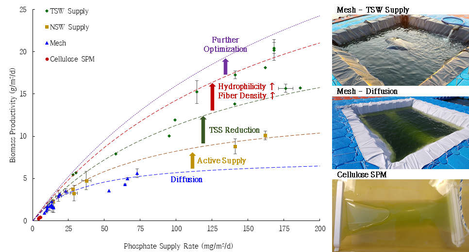 반투과막/mesh 장착 광생물반응기 연구개발에 따른 바이오매스 생산성 변화