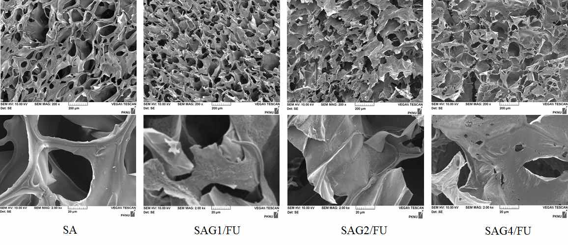 SA 및 SAG/FU 3D 세포담체의 SEM 사진
