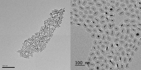 다공성 실리카로 코팅하기 전 (왼쪽), 후 (오른쪽)의 gold nanorod의 TEM 이미지