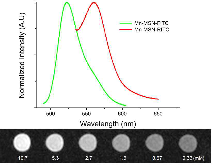 다기능성 Mn3O4/mSiO2 나노입자의 형광 및 MR 분석결과