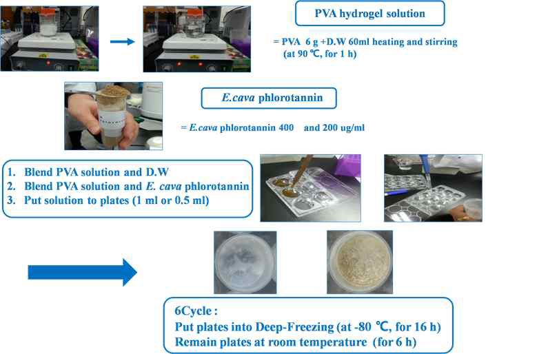 Phlorotannin-PVA hydrogel 제작모식도
