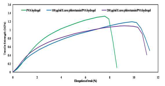 Phlorotannin-PVA hydrogel 기계적 강도 측정
