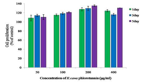 E. cava phlorotannin의 섬유아세포(NHDF-neo) 증식효능 검토