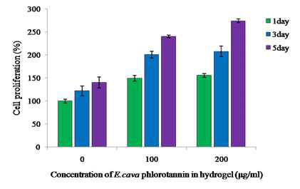 Phlotorannin/PVA hydrogel내 섬유아세포(NHDF-neo) 증식효능 검토