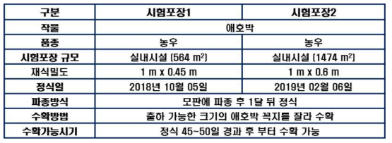 시험포장 및 호박 재배정보